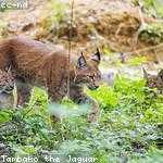 Murl Mueller Profile Picture