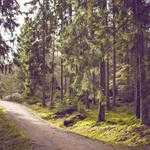 Gaylord Labadie Profile Picture