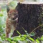 Jeanette Koepp Profile Picture