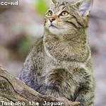 Autumn Nolan Profile Picture