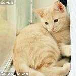 Hubert Reilly Profile Picture