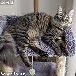 Hilma Bruen Profile Picture