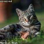 Ardith Bradtke Profile Picture