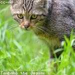 Brook Hudson Profile Picture