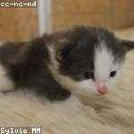 Guadalupe Reynolds Profile Picture