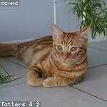 Dee Crooks Profile Picture