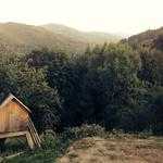 Stuart Gislason Profile Picture