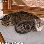 Winston Crona Profile Picture