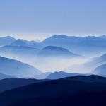 Lexi Streich Profile Picture