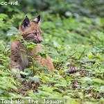 Bobby Gerhold Profile Picture