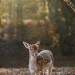 Terence Huels Profile Picture