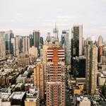 Renee Bahringer Profile Picture