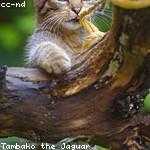 Herminio Miller Profile Picture