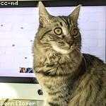 Art Kuhlman Profile Picture