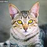 Penelope Smitham Profile Picture