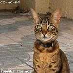 Sister Kuhn Profile Picture