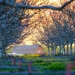 Monroe Feeney Profile Picture