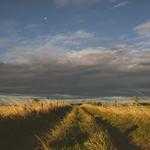 Blair Schinner Profile Picture