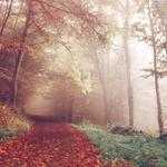 Orlo Bednar Profile Picture