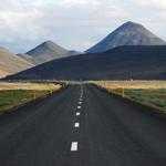 Reilly Sauer Profile Picture