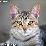 Maximilian Fisher Profile Picture