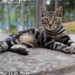 Lazaro Kilback Profile Picture