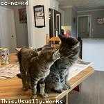 Jakayla Durgan Profile Picture