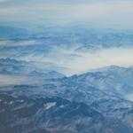 Wilmer Mosciski Profile Picture