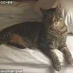 Wilton Rempel Profile Picture