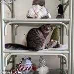 Cleve Bosco Profile Picture