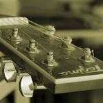 Tracey Padberg Profile Picture