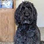 Dewayne Casper Profile Picture