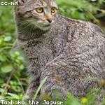 Brent Kuhn Profile Picture