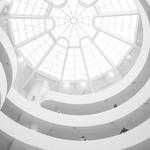 Golden Kirlin Profile Picture