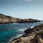 Aurelio Schaefer Profile Picture