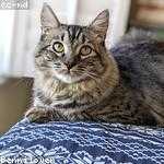 Ned Grimes Profile Picture