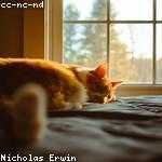 Freddy Kirlin Profile Picture