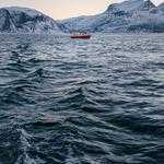 Gerson Windler Profile Picture