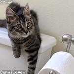 Deborah Glover Profile Picture