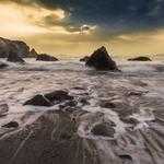 Flossie Price Profile Picture