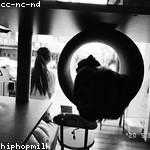 Daphne Hane Profile Picture