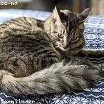 Madisyn Champlin Profile Picture