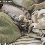 Chelsie Smith Profile Picture