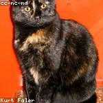 Harrison Hill Profile Picture