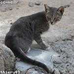 Buster Weber Profile Picture