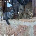 Kelsie Gleichner Profile Picture