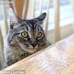 Ronaldo Hyatt Profile Picture