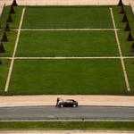 Cecelia Terry Profile Picture