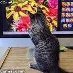 Ramon Mraz Profile Picture