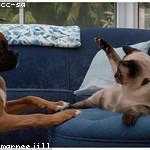 Roderick Grant Profile Picture